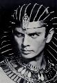 The Ten Commandments - 8 x 10 B&W Photo #2