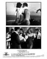 The Thomas Crown Affair - 8 x 10 B&W Photo #8