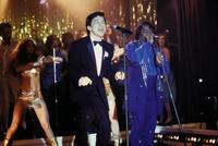 The Tuxedo - 8 x 10 Color Photo #13