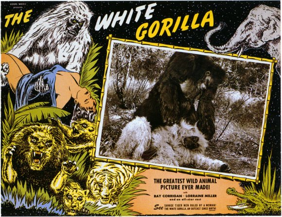 The White Gorilla movie
