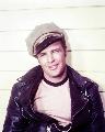 The Wild One - 8 x 10 Color Photo #2