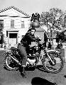 The Wild One - 8 x 10 B&W Photo #7