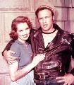 The Wild One - 8 x 10 Color Photo #4