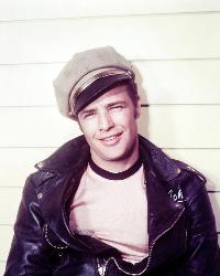 The Wild One - 8 x 10 Color Photo #2