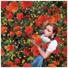 The Wizard of Oz - Dorothy Poppies Canvas Art