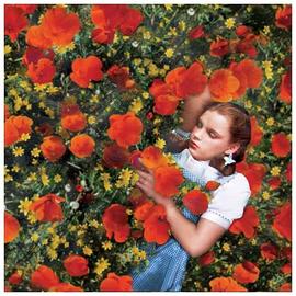 The Wizard of Oz - Dorothy Poppies Canvas Art