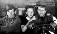 They Drive by Night - 8 x 10 B&W Photo #2
