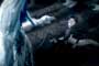 Tim Burton's Corpse Bride - 8 x 10 Color Photo #11