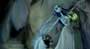 Tim Burton's Corpse Bride - 8 x 10 Color Photo #34