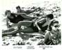 Time in the Sun - 8 x 10 B&W Photo #1