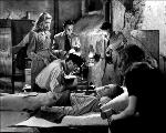 To Have & Have Not - 8 x 10 B&W Photo #11