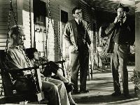 To Kill a Mockingbird - 8 x 10 B&W Photo #5