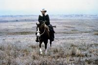 Tom Horn - 8 x 10 Color Photo #18