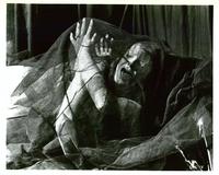 Tomb of Ligeia - 8 x 10 B&W Photo #2
