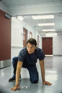 Tomcats - 8 x 10 Color Photo #11