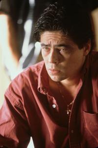 Traffic - 8 x 10 Color Photo #6