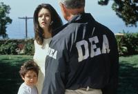 Traffic - 8 x 10 Color Photo #15