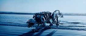 Transformers 2: Revenge of the Fallen - 8 x 10 Color Photo #20