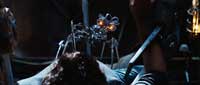 Transformers 2: Revenge of the Fallen - 8 x 10 Color Photo #26
