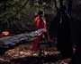 Trick 'r Treat - 8 x 10 Color Photo #14