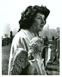Trilogy - 8 x 10 B&W Photo #5