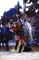 Troy - 8 x 10 Color Photo #11