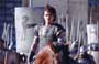 Troy - 8 x 10 Color Photo #52