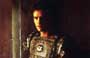 Troy - 8 x 10 Color Photo #54