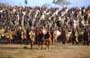 Troy - 8 x 10 Color Photo #75