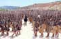 Troy - 8 x 10 Color Photo #78