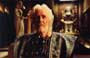 Troy - 8 x 10 Color Photo #79