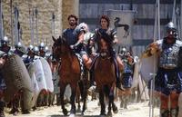 Troy - 8 x 10 Color Photo #65
