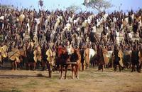 Troy - 8 x 10 Color Photo #75