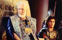 Troy - 8 x 10 Color Photo #82