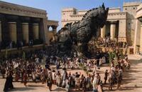 Troy - 8 x 10 Color Photo #83
