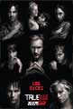 True Blood (TV) Season 2 - 27 x 40 TV Poster - Style C