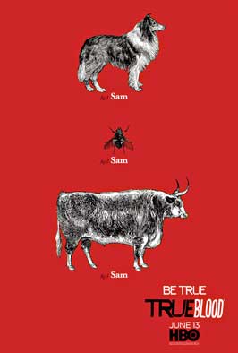 True Blood (TV) Season 3 - 43 x 62 TV Poster - Style A