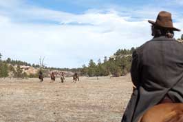 True Grit - 8 x 10 Color Photo #24
