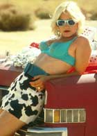 True Romance - 8 x 10 Color Photo #14