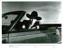 True Stories - 8 x 10 B&W Photo #3