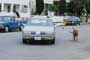 Turner and Hooch - 8 x 10 Color Photo #1