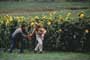 Twister - 8 x 10 Color Photo #6