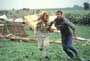 Twister - 8 x 10 Color Photo #7