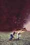 Twister - 8 x 10 Color Photo #15