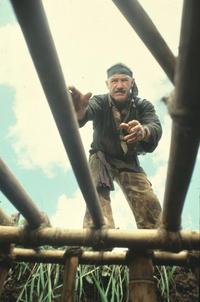 Uncommon Valor - 8 x 10 Color Photo #5