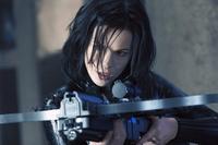 Underworld: Evolution - 8 x 10 Color Photo #4