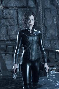 Underworld: Evolution - 8 x 10 Color Photo #8