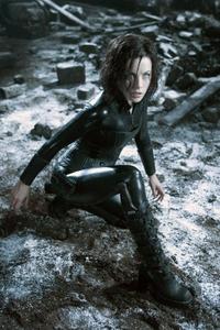 Underworld: Evolution - 8 x 10 Color Photo #13