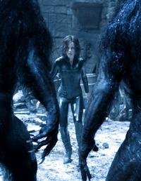 Underworld: Evolution - 8 x 10 Color Photo #19