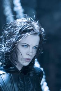 Underworld: Evolution - 8 x 10 Color Photo #24